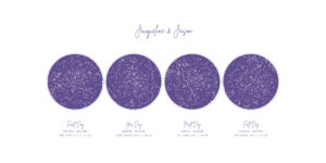 Fun wedding guest book ideas